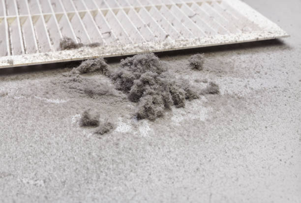 Best HVAC System Cleaning  in Rogersville, AL