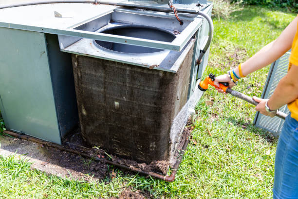 Best Professional Duct Cleaning Services  in Rogersville, AL