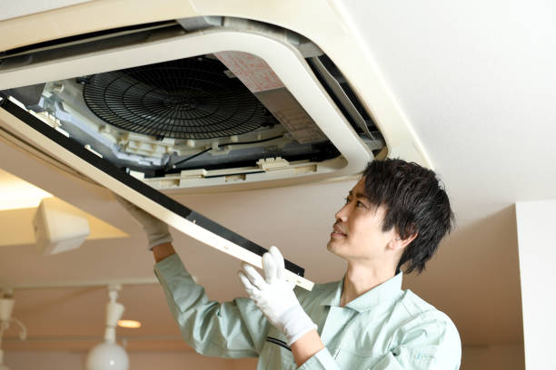 Best Emergency Air Duct Cleaning  in Rogersville, AL