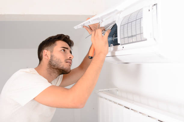 Best Affordable Duct Cleaning Services  in Rogersville, AL
